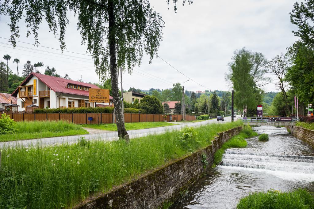 Cynamon Wisla
